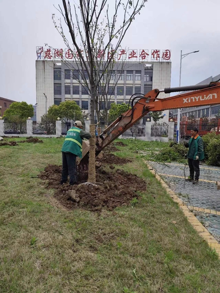 绿化工程